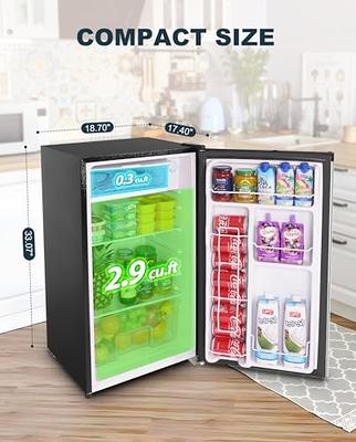 Mini Fridge with Freezer for Bedroom Office or Dorm with