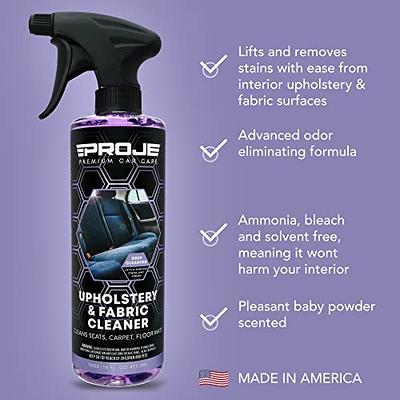 Spot Clean & Odor Remover, Interior