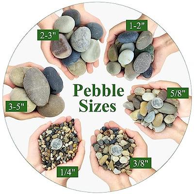 YISZM 10lbs Natural River Rocks, 1/4 Aquarium Gravel Small Rocks for  Plants Pea Gravel for Fish Tank, Decorative Pebbles for Gardening, Flower  Pots, Vase Fillers, Indoor Water Fountains, Landscaping - Yahoo Shopping