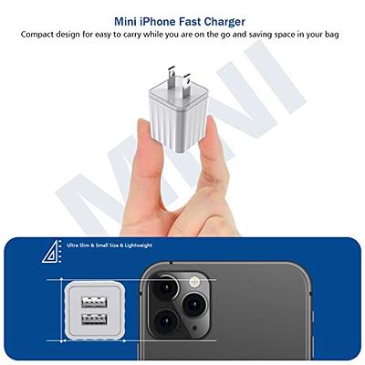 iPhone Fast Charger Block, Apple MFi Certified 40W Dual Port USB C Wall  Charger Plug with 2 Pack 6ft Lightning Cord, Type C Adapter for Apple  iPhone 14/13/12/11/Pro/Max/Mini/XR/X/8/iPad Case 