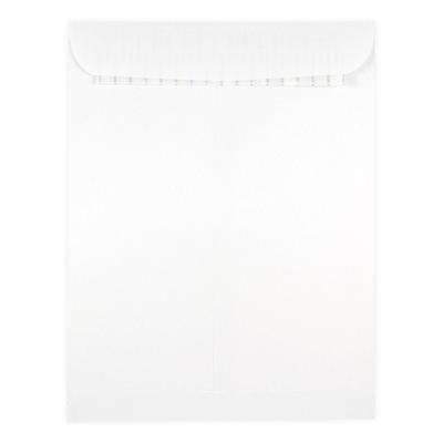 Buy 9 x 12 Open End Envelopes - Clear Translucent at JAM Paper