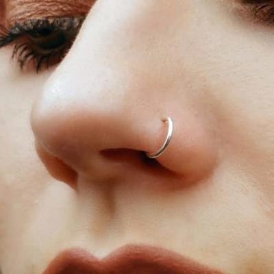 Set of 2 Tiny Fake Nose Rings, No Piercing Needed, Faux Nose Ring, Clip on  Nose Cuff, Fake Nose Stud, Faux Nose Hoop Piercing