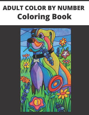 Easy Design Adult Color By Number - Jumbo Coloring Book of Large Print Flowers, Birds, and Butterflies [Book]