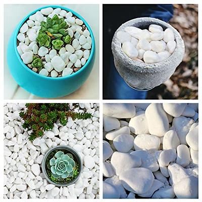 3 Pounds Small Rocks, Pebbles, Outdoor Decorative Stones, Natural Gravel,  For Aquariums, Landscaping, Vase Fillers, Succulent, Tillandsia, Cactus  Pot, Terrarium Plants 