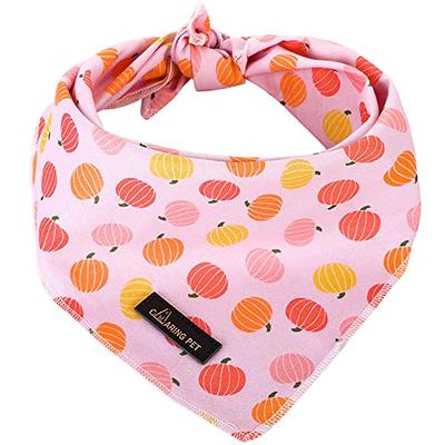 Gingerbread Playhouse Reversible Cat and Dog Bandana - Wondershop