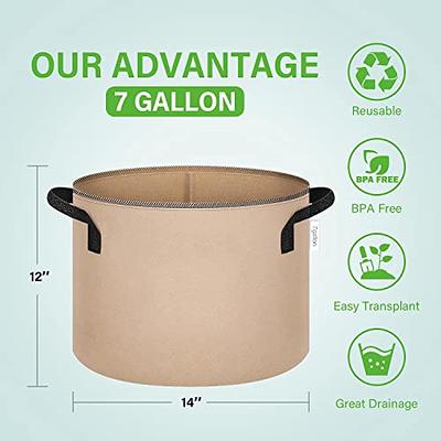 MARS HYDRO 5-Pack 10 Gallon Grow Bags Heavy Duty 400G Thickened Nonwoven  Plant Fabric Pots with Handles - Yahoo Shopping