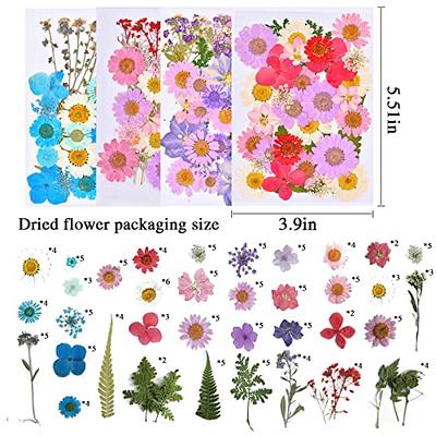 Real Dried Pressed Flowers for Resin, Natural Dry Flowers Leaves Bulk Herbs  Kit