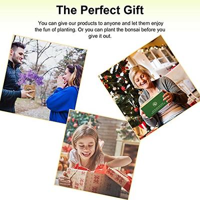 Bonsai Starter Kit - Gardening Gifts for Women & Men - Unique DIY