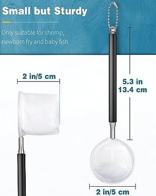 Pawfly Aquarium Shrimp Net 2 Inch Tiny Fish Tank Net with Extendable  Stainless Steel Handle Soft