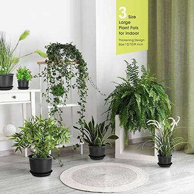 YNNICO 6 inch Plant Pots, 5 Pack Flower Pots Outdoor Indoor, Planters with  Drainage Hole and Tray Saucer