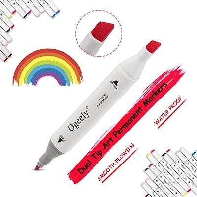 chfine Art Marker Set - 80 Colors Dual Tip Permanent Sketch Markers - Ideal  for Artists Adults Kids Drawing Coloring Crafts Gifts with Carry Case for