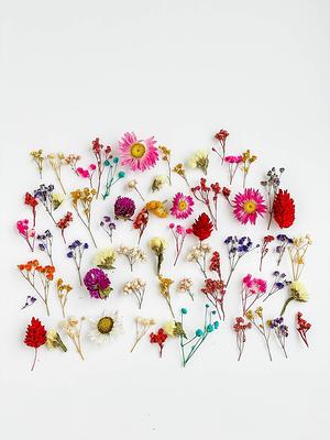 70 Pcs Tiny Flowers For Resin Jewelry, Large Set Of Dried Flowers