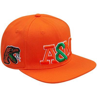 Pro Standard Men's Royal Tennessee State Tigers Evergreen State Snapback Hat