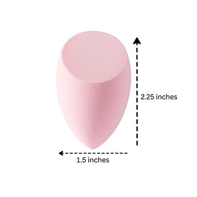 Makeup Sponge Beauty Blender Set With 1 Storage Box Soft Wet - Temu