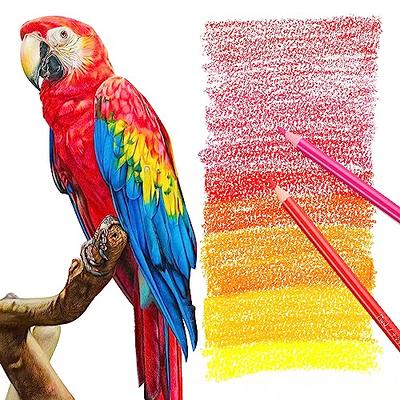 Heshengping 72 Colors Colored Pencils Set for Adult Coloring Books,  Professional Numbered Art Supplies Drawing Pencils kit for Sketching  Coloring Soft