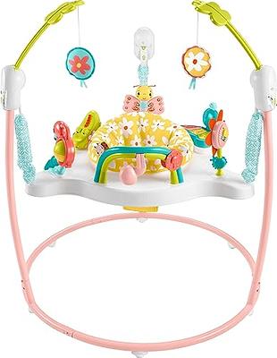 Fisher-Price Baby Bouncer Palm Paradise Jumperoo Activity Center With Music  Lights Sounds And Developmental Toys