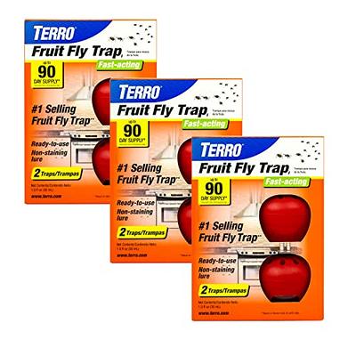 TERRO T2502 Ready-to-Use Indoor Fruit Fly Trap with Built in Window - 2  Traps + 90 day Lure Supply