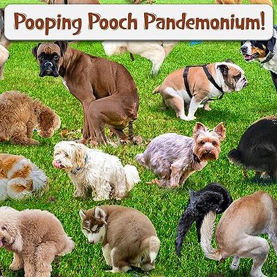 Pooping Dogs Puzzles 1000 Piece for Adults, Animal Jigsaw Puzzles 1000  Pieces, Funny Puppy Puzzles Prank Puzzle Dog Pooping - Yahoo Shopping