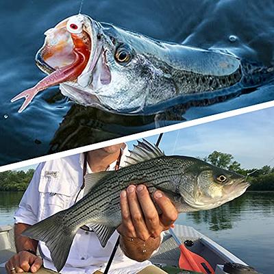 Fishing Lures Kit Freshwater Fishing Tackle Kit for Bass Trout