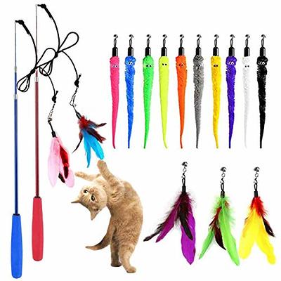  Retractable Cat Toys Wand with 5 Piece Teaser Refills,  Interactive Cat Feather Toy for Cat Kitten Having Fun Exerciser Playing :  Pet Supplies