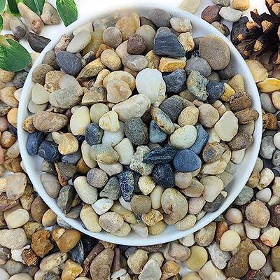 SUPVOX Dog Bells Fish Tank Gravel Rocks Flowers for Centerpieces Pebble  Kids Nets for Fish Pots for Indoor