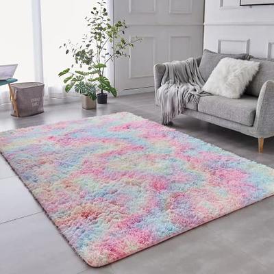 TABAYON Shaggy Tie-Dyed Coffee Rug, 2x3 Area Rugs for Living Room,  Anti-Skid Extra Comfy Fluffy Floor Carpet for Indoor Home Decorative