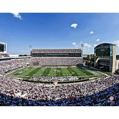 Cincinnati Bengals Unsigned White-Out Stadium Photograph