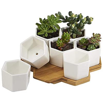  Utopia Home - Plant Pots with Drainage - 7/6.6/6/5.3/4.8 Inches  Home Decor Flower Pots for Indoor Planter - Pack of 5 Plastic Planters,  Cactus, Succulents Pot - White : Patio, Lawn & Garden
