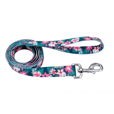 Coastal Pet Products Sublime Adjustable Dog Collar, Pink Tie Dye
