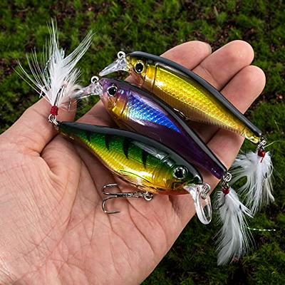 Dr.Fish 3 Pack Fishing Jerkbait 3.6, 1/2oz Sinking Crankbait for Bass  Walleye Fishing Minnow Hard Lures Set Roostertail Fishing Lures Shad Minnow  Swimbait Lifelike Pike Freshwater Saltwater - Yahoo Shopping