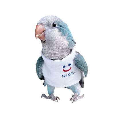 balacoo Bird Costume for Birds, Soft Frog Bird Clothes Bird Diaper