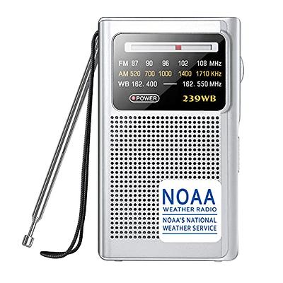 AM FM Portable Pocket Radio, Compact Transistor Radios - Best Reception,  Loud Speaker, Earphone Jack, Long Lasting, 2 AA Battery Operated (Silver) 