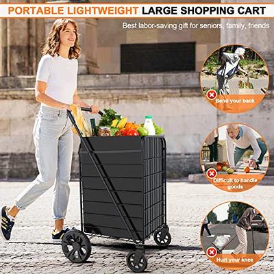 personal shopping carts