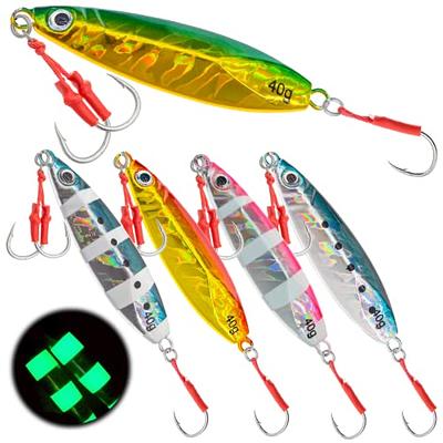 Metal Jig Fishing Lures for Saltwater 40g Sinking Lead Fishing Jigs Micro Jigging  Bait with Assist Hooks Fishing Tackle Casting Lures for Bass Trout - buy  Metal Jig Fishing Lures for Saltwater