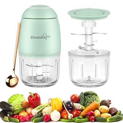 300ML Electric Mini Food Processor, 60W Cordless Food Press Garlic Chopper, Mini  Blender For Garlic,Vegetable,Fruit,Onions,Chili,Meat,Salad,Baby Food, Glass  Container (Green) - Yahoo Shopping