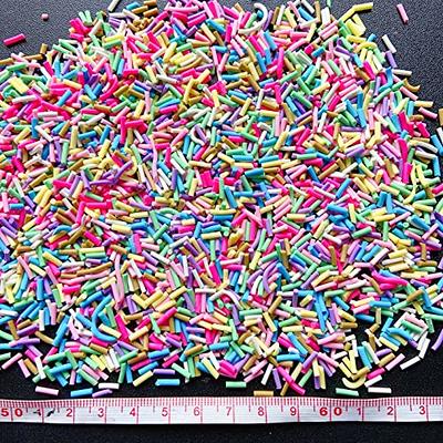 EHOPE Fake Sprinkles Resin Sprinkles Fake Candy Sprinkles Clay