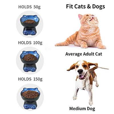 Pet Supplies : Nihow Dog Food & Water Bowl Set: Elevated Ceramic