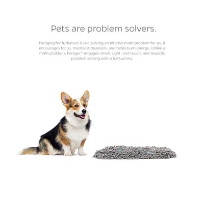 Pet Parents Forager Snuffle Mat & Slow Feeder Dog Bowl, Grey