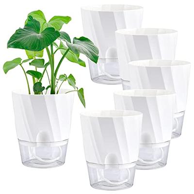  Qaobo Plant Pots 5 PCS 7 inch Self Watering Planters High  Drainage Flowers Pot for Indoor Outdoor Plants with Reservoir Tray and  Watering Lip Gardening Planter Garden Flower Pots, Green 