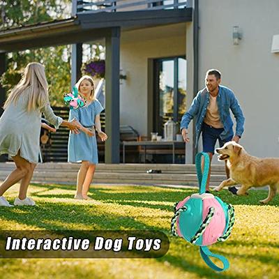 Interactive Dog Toys: Squeaky Balls, Tug & Fetch For Small & Medium Dogs -  Temu