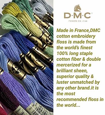 THINK GREEN Embroidery Floss Set DMC Embroidery Thread Collection Floss Kit  for Hand Embroidery Cross Stitch Friendship Bracelets or Diy 