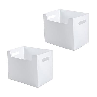 Magazine Storage Bins