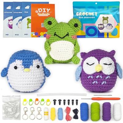  FECLOUD Crochet Knitting Kit for Beginners - 6Pcs