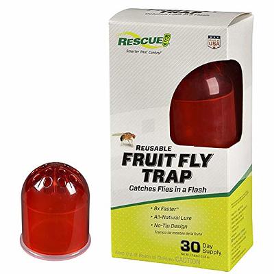 Discreet Indoor Fly Trap with Lure, Press Releases