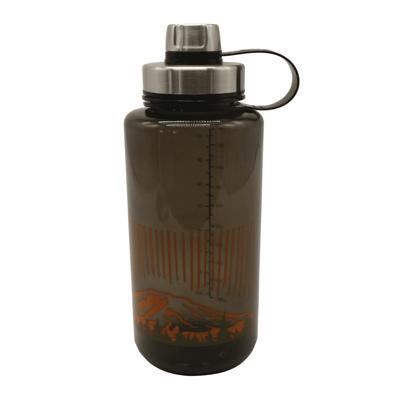 Ozark Trail Insulated Stainless Steel Water Bottle, Silver, Flip Lid, 32 fl  oz