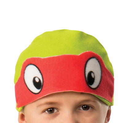 Teenage Mutant Ninja Turtles Boys Leonardo Halloween Costume, Rubies II,  Size L 