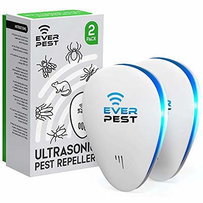 BUGMD Starter Kit - Essential Oil Pest Concentrate (2 Pack), Plant-Powered  Bug Spray Quick Kills Flies, Ants, Fleas, Ticks, Roaches, Mosquitoes and  More 