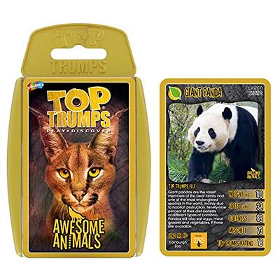 Cats Top Trumps Card Game