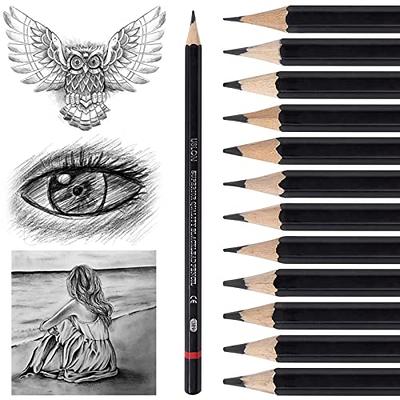 YUANCHENG Sketch Pencils for Drawing, 12 Pack, Drawing Pencils, Art  Pencils, Graphite Pencils, Graphite Pencils for Drawing, Art Pencils for  Drawing - Yahoo Shopping