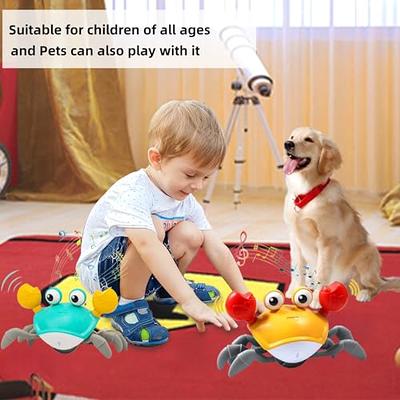 Crawling Crab Pet Toy with Music & Educational Sensing Interactive Baby Toy